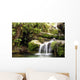 Rainforest Waterfall Wall Mural
