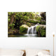 Rainforest Waterfall Wall Mural