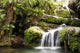 Rainforest Waterfall Wall Mural