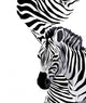 Zebra Wall Decal