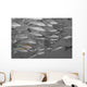 Hawaii, Selective Black And White On A School Of Yellowfin Goatfish Wall Mural