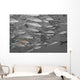 Hawaii, Selective Black And White On A School Of Yellowfin Goatfish Wall Mural