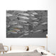 Hawaii, Selective Black And White On A School Of Yellowfin Goatfish Wall Mural