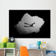 Framed By Cavern Entrance Wall Mural