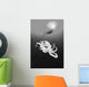 Hawaii, Lanai, Octopus In Ocean Water, Diver In Background Wall Mural