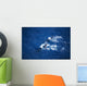 Hawaii, Maui, Humpback Whales, Aerial View Wall Mural