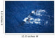 Hawaii, Maui, Humpback Whales, Aerial View Wall Mural