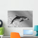 Atlantic Spotted Dolphin In Shallow Clear Ocean Water Wall Mural