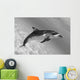 Atlantic Spotted Dolphin In Shallow Clear Ocean Water Wall Mural