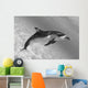 Atlantic Spotted Dolphin In Shallow Clear Ocean Water Wall Mural