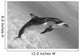 Atlantic Spotted Dolphin In Shallow Clear Ocean Water Wall Mural