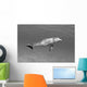 Atlantic Bottlenose Dolphin In Clear Ocean Water Wall Mural