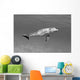 Atlantic Bottlenose Dolphin In Clear Ocean Water Wall Mural