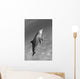 Atlantic Bottlenose Dolphin In Clear Ocean Water Wall Mural