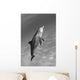 Atlantic Bottlenose Dolphin In Clear Ocean Water Wall Mural