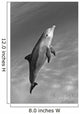Atlantic Bottlenose Dolphin In Clear Ocean Water Wall Mural