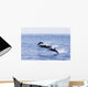 Guatemala, Puerto Quetzal, Spinner Dolphins Jumping Wall Mural