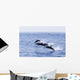 Guatemala, Puerto Quetzal, Spinner Dolphins Jumping Wall Mural