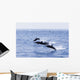 Guatemala, Puerto Quetzal, Spinner Dolphins Jumping Wall Mural