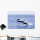 Guatemala, Puerto Quetzal, Spinner Dolphins Jumping Wall Mural