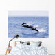 Guatemala, Puerto Quetzal, Spinner Dolphins Jumping Wall Mural