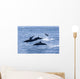 Guatemala, Puerto Quetzal, Spinner Dolphins Jumping Wall Mural