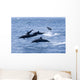 Guatemala, Puerto Quetzal, Spinner Dolphins Jumping Wall Mural