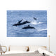 Guatemala, Puerto Quetzal, Spinner Dolphins Jumping Wall Mural