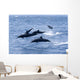 Guatemala, Puerto Quetzal, Spinner Dolphins Jumping Wall Mural