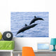 Guatemala, Puerto Quetzal, Spinner Dolphins Jumping Wall Mural