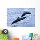 Guatemala, Puerto Quetzal, Spinner Dolphins Jumping Wall Mural