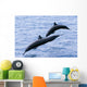 Guatemala, Puerto Quetzal, Spinner Dolphins Jumping Wall Mural