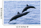 Guatemala, Puerto Quetzal, Spinner Dolphins Jumping Wall Mural