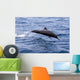 Guatemala, Puerto Quetzal, Spinner Dolphin Jumping Wall Mural