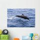 Guatemala, Puerto Quetzal, Spinner Dolphin Jumping Wall Mural