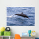 Guatemala, Puerto Quetzal, Spinner Dolphin Jumping Wall Mural