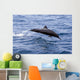 Guatemala, Puerto Quetzal, Spinner Dolphin Jumping Wall Mural