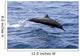 Guatemala, Puerto Quetzal, Spinner Dolphin Jumping Wall Mural