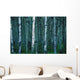 Forest Of Poplar Tree Trunks Wall Mural