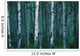 Forest Of Poplar Tree Trunks Wall Mural