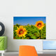 Sunflowers Wall Mural