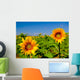 Sunflowers Wall Mural
