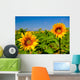 Sunflowers Wall Mural