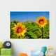 Sunflowers Wall Mural