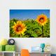 Sunflowers Wall Mural