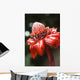 Close-Up Of A Bright Red Torch Ginger Flower Wall Mural