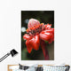 Close-Up Of A Bright Red Torch Ginger Flower Wall Mural