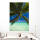 Palm tree over Pacific ocean with Mokulua island in background Wall Mural