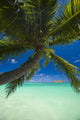 Palm tree over Pacific ocean with Mokulua island in background Wall Mural
