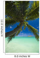 Palm tree over Pacific ocean with Mokulua island in background Wall Mural